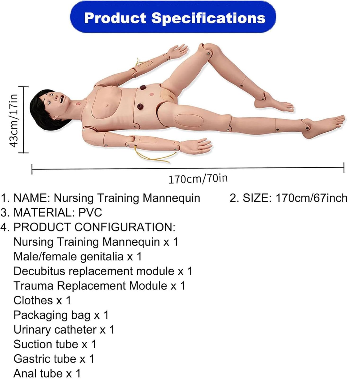Générique Mannequin médical pour soins aux patients pour formation, grandeur nature 1,70 m,Female