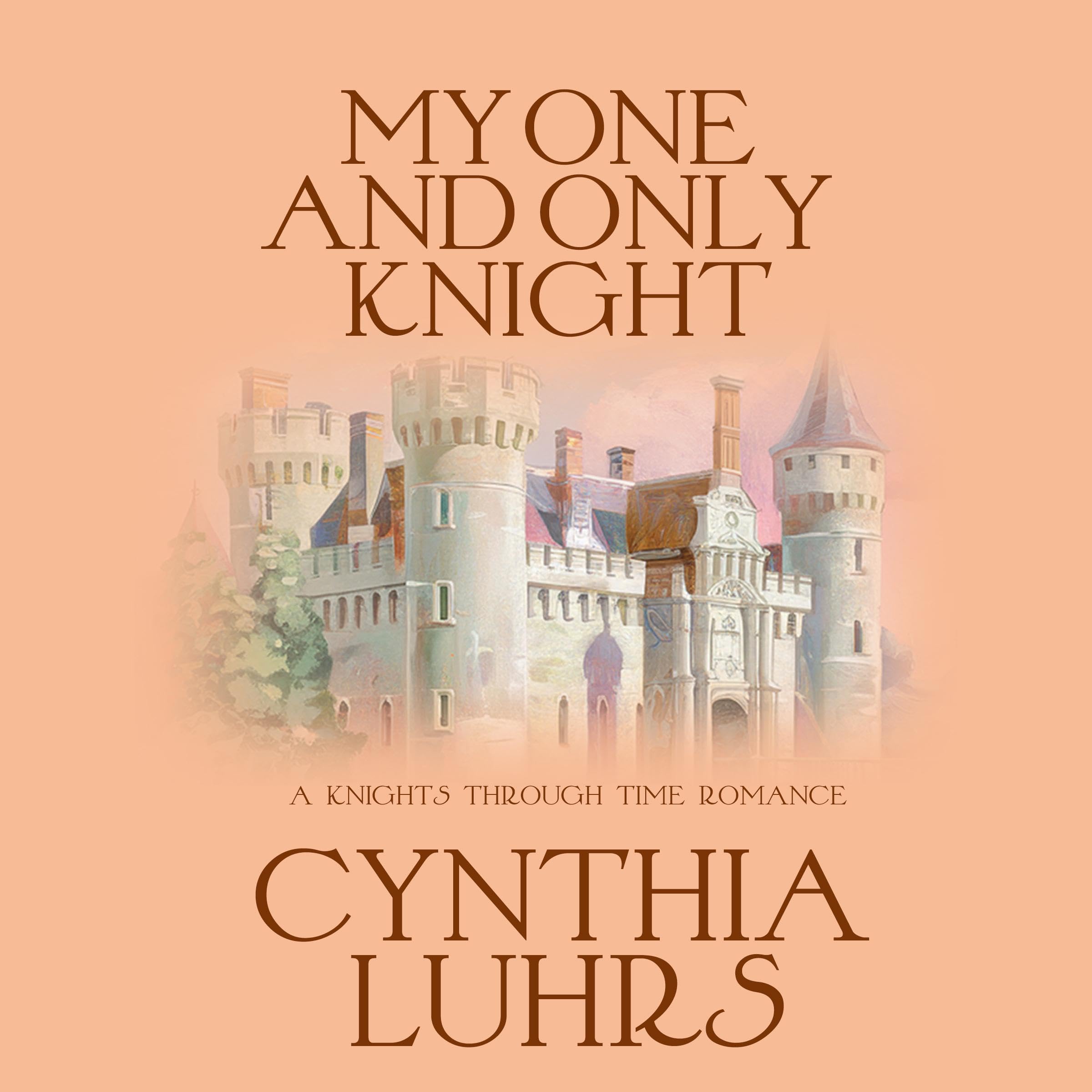 Cover art for My One and Only Knight