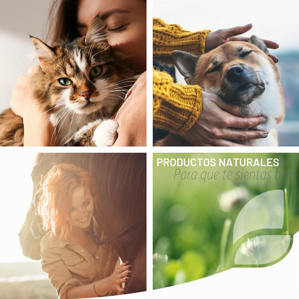 ReaVET Spray de ácaros de hierba para perros 500 ml – Protección, defensa y cuidado de los ácaros de la hierba, spray antiácaros, protección inmediata contra ácaros de hierba y parásitos, calma la