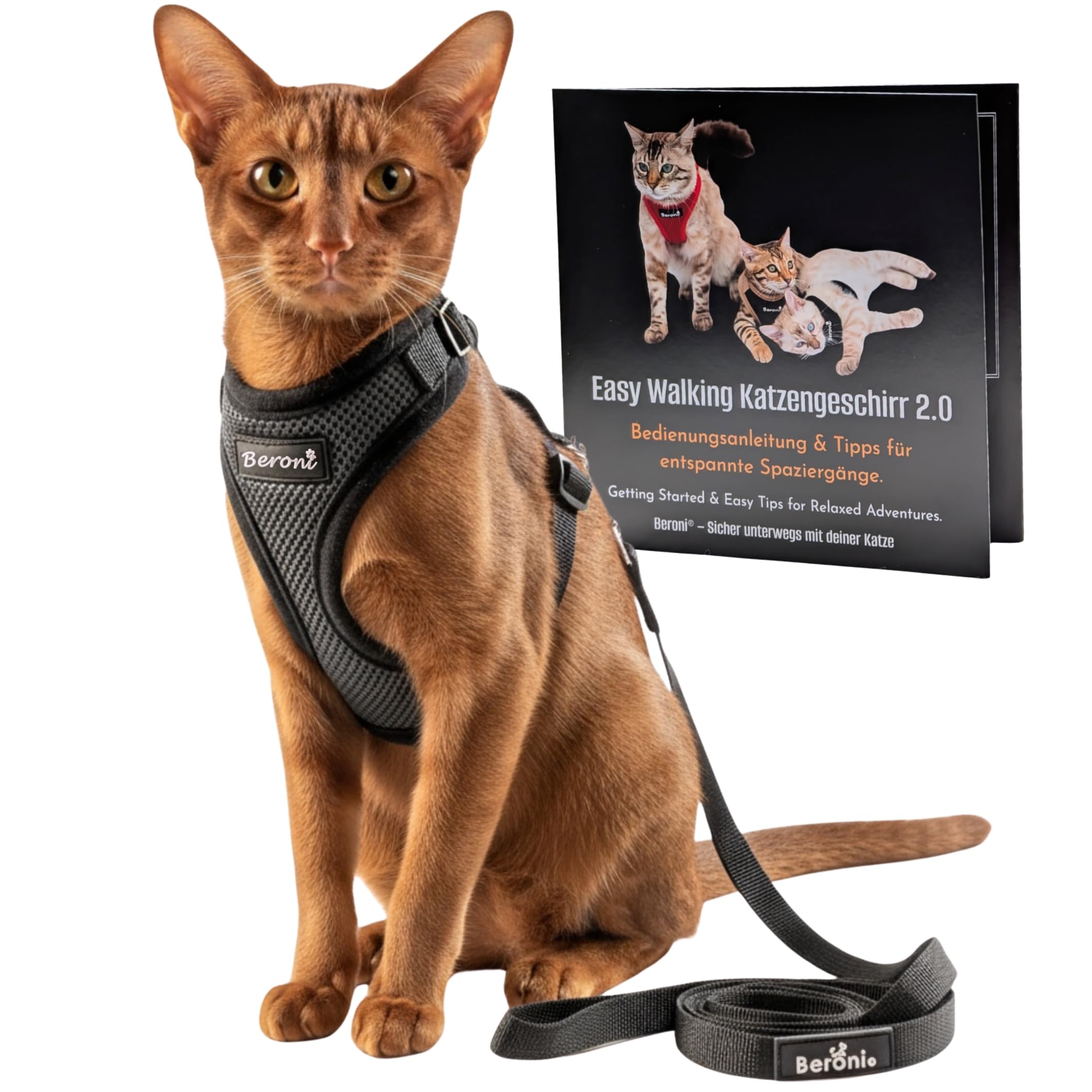 Beroni® Katzengeschirr mit Leine ausbruchsicher – Katzen Geschirr Set mit Leine | Verstellbares Brustgeschirr für große & kleine Katzen | Katzengeschirr Outdoor für Balkon, Garten (Grau + Leine, S)