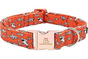 Lionheart Glory XL Dog Collar Boy - Adjustable Dog Collar for Large Dog