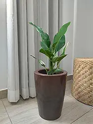 Vaso para plantas decorativo de polietileno