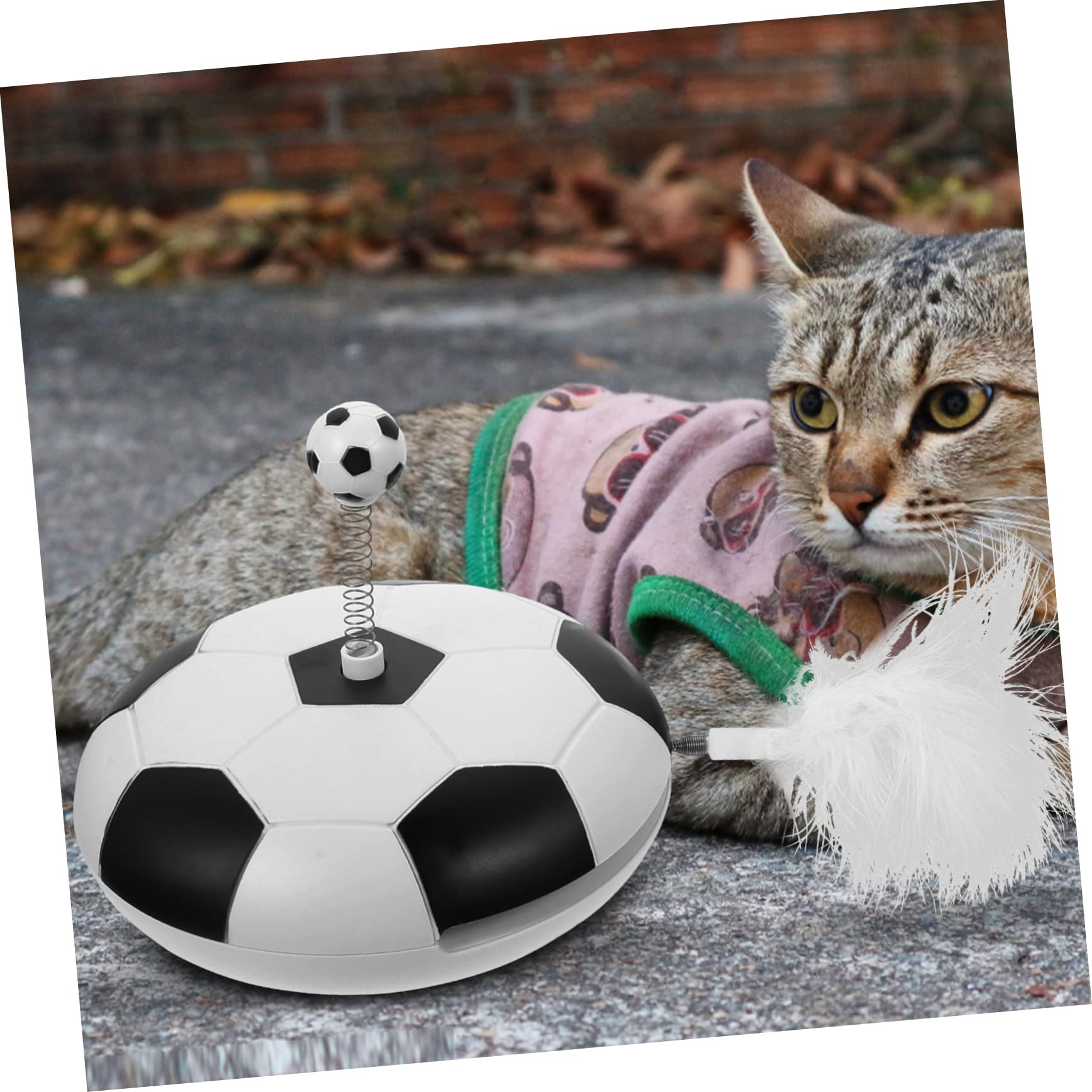 Supvox Katze Plattenspieler Katzenspielzeug interaktiv Kätzchenspielzeug interaktives katzenspielzeug Interactive cat Toy Katzenspielzeug für zuhause interessanter Katzenteaser