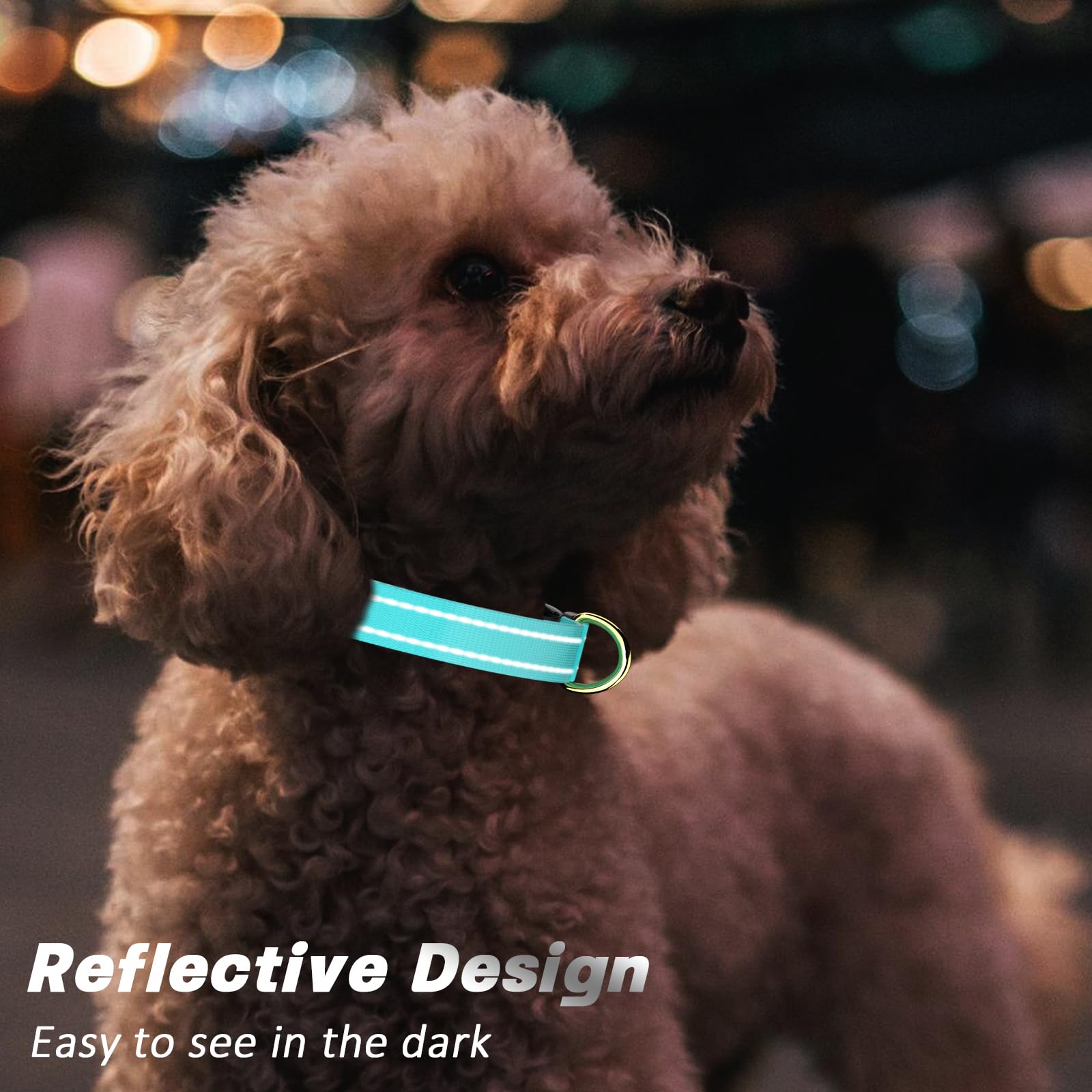 Reflektierendes Hundehalsband – Verstellbares Nylon-Band Mit Boho-Design Für Kleine & Mittlere Hunde