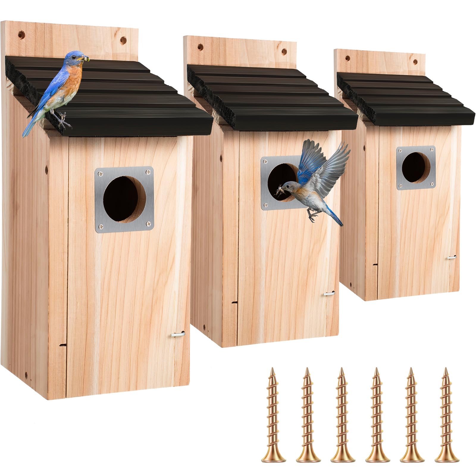 Amazon.com : Dreyoo 3 Pack Bluebird Box Houses for Outside,1-1/2