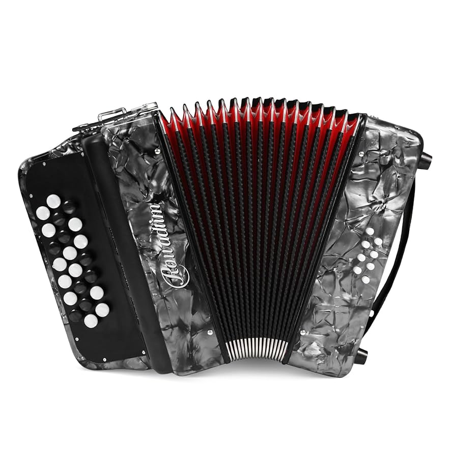弦楽器 Bella Armonia MODELLI CONTROLATTIA A Amazon.com: Accordion - 22 keys 8 bass, lightweight piano