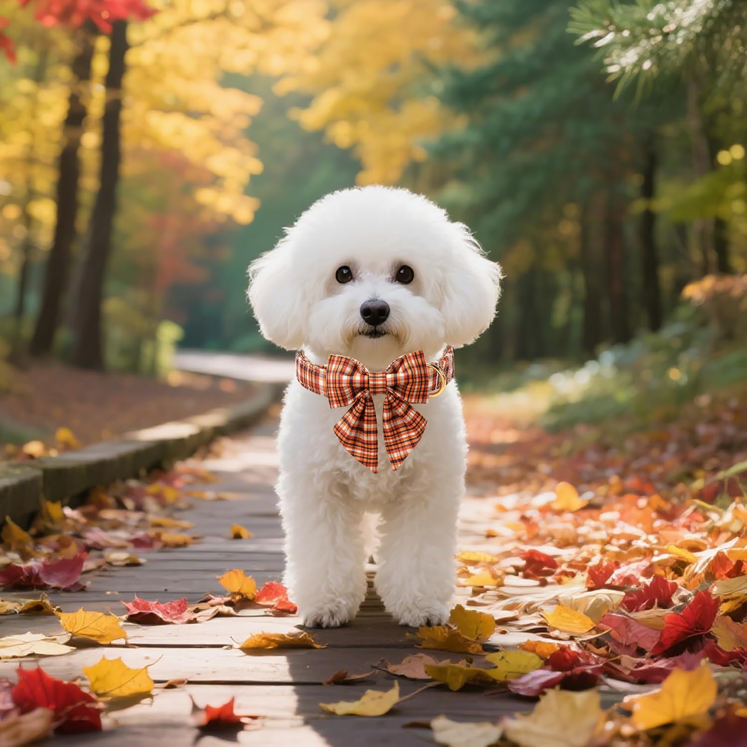 Unique style paws Cartoon Dog Collar with Bowtie Autumn Halloween Plaid Puppy Collar with Colorful Orange Grid for Small Medium Large Boys Girls Dogs image 4