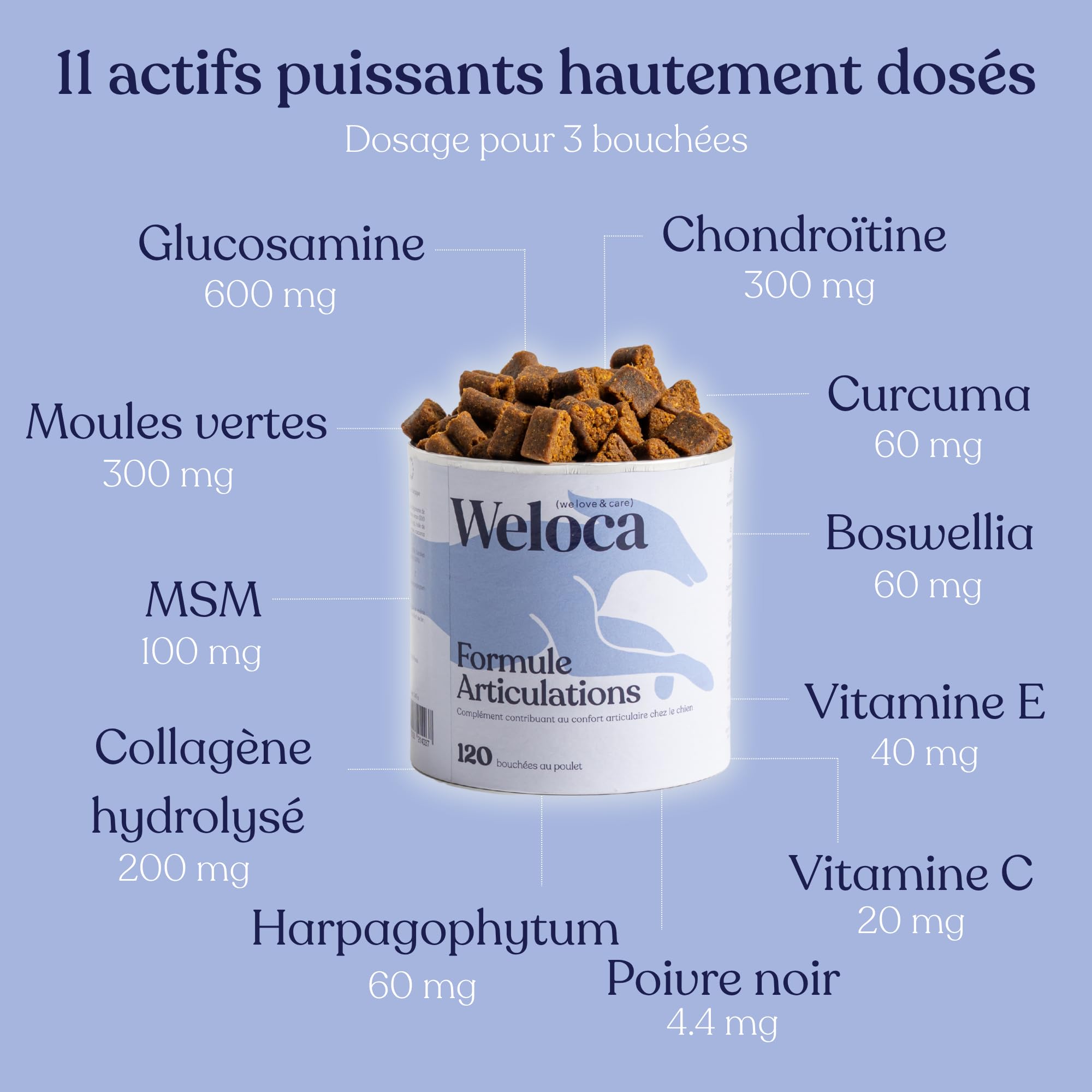 Arthrose Chien | 120 compléments Premium | 11 Actifs puissants hautement dosés (Moule Verte, harpagophytum, chondroïne, Glucosamine) | Anti-arthrose, mobilité retrouvée | Formule vétérinaire