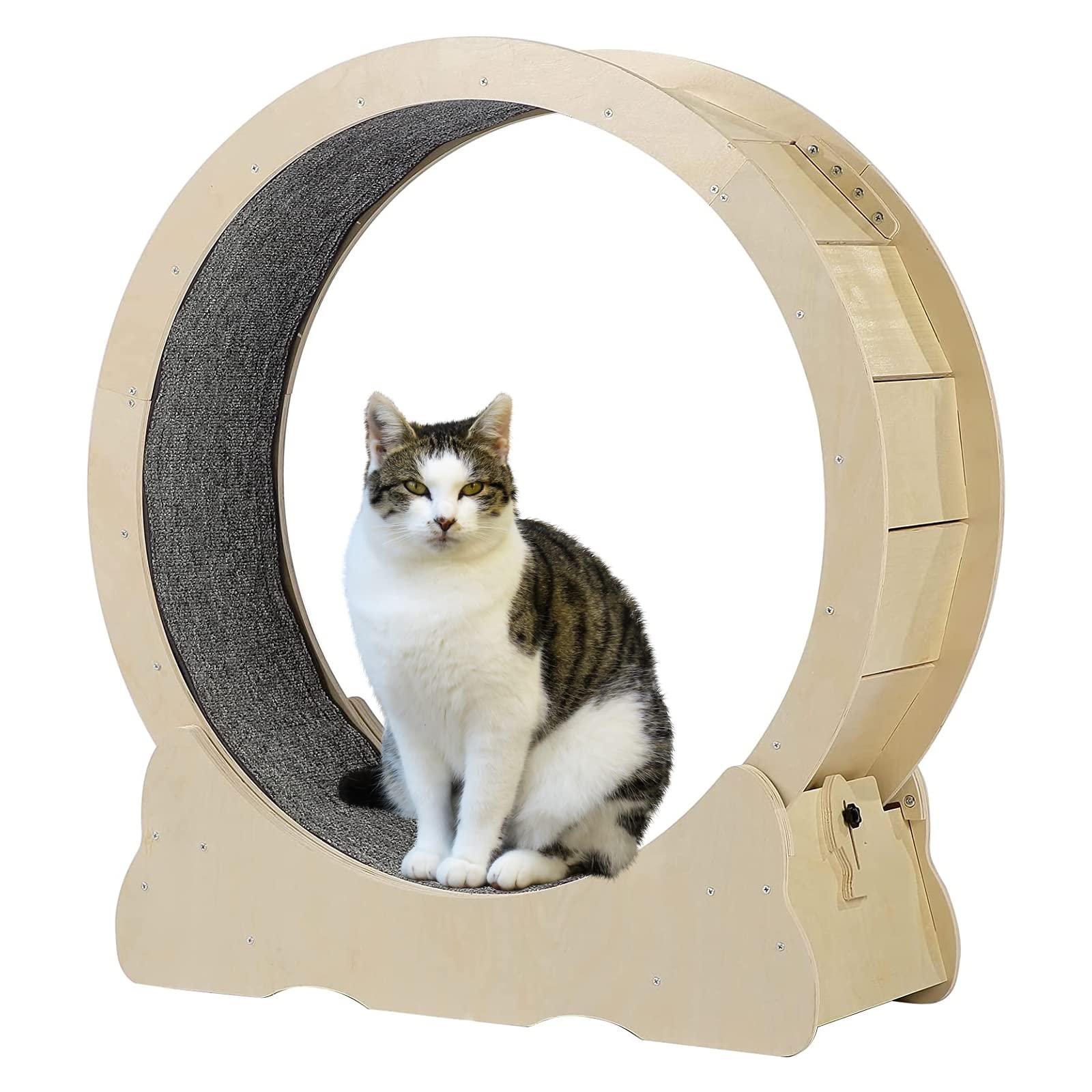 Amazon.co.jp: 猫用回し車 猫用おもちゃ 猫ランニングマシン 木製 直径 