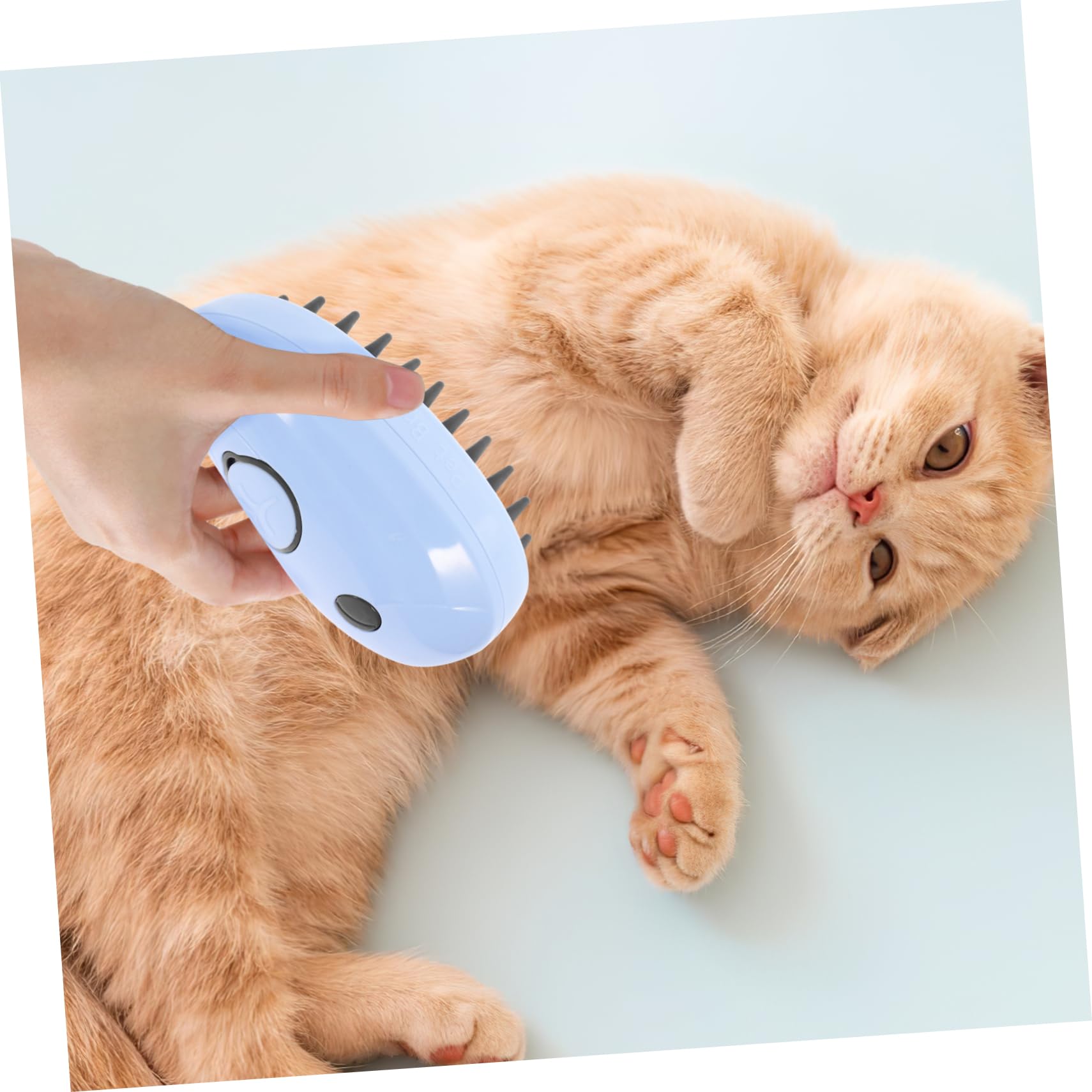 SUPVOX 3pièces Brosse à Vapeur Multifonctionnelle Pour Chats Brosse De Bain Et Nettoyante Auto-nettoyante Convient à Les Types De Poils Couleur Bleue