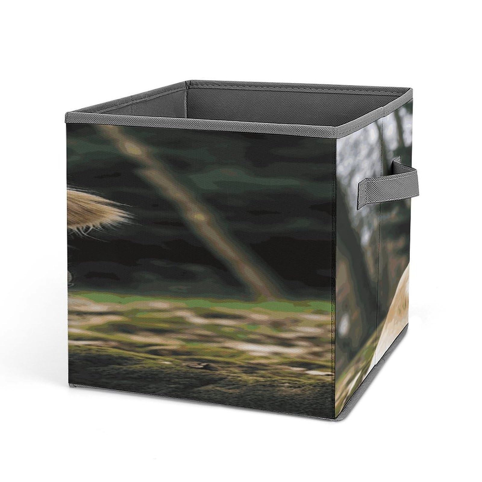 Fekiloot Style Funny Golden Retriever Storage Bins Storage Baskets