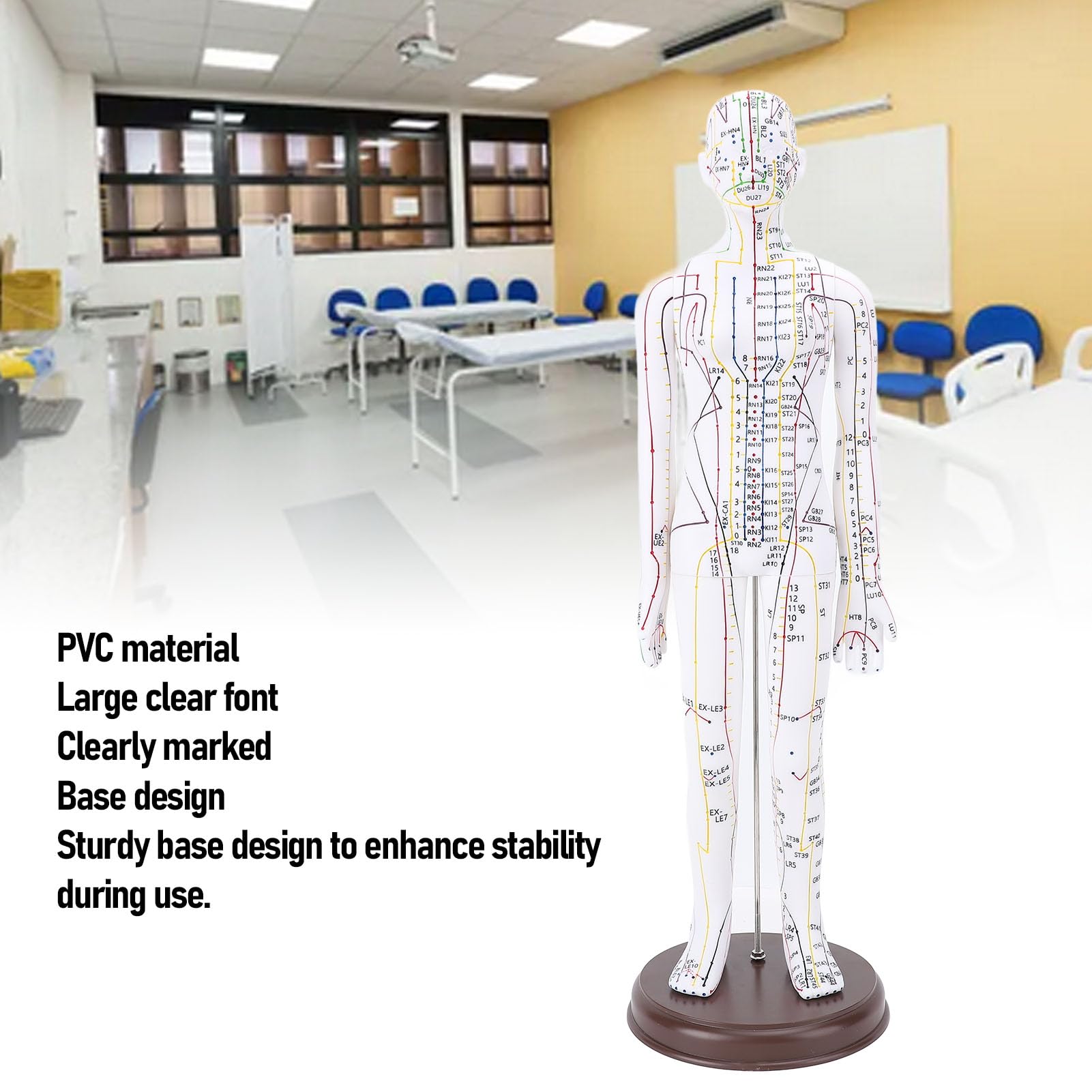 Muñeca de Acupuntura de 52 Cm / 20.47 Pulgadas, Modelo de Acupuntura del Cuerpo Humano, Acupuntura del maniquí de Acupuntura Masculina/Femenina Modelo de Acupuntura con Base,