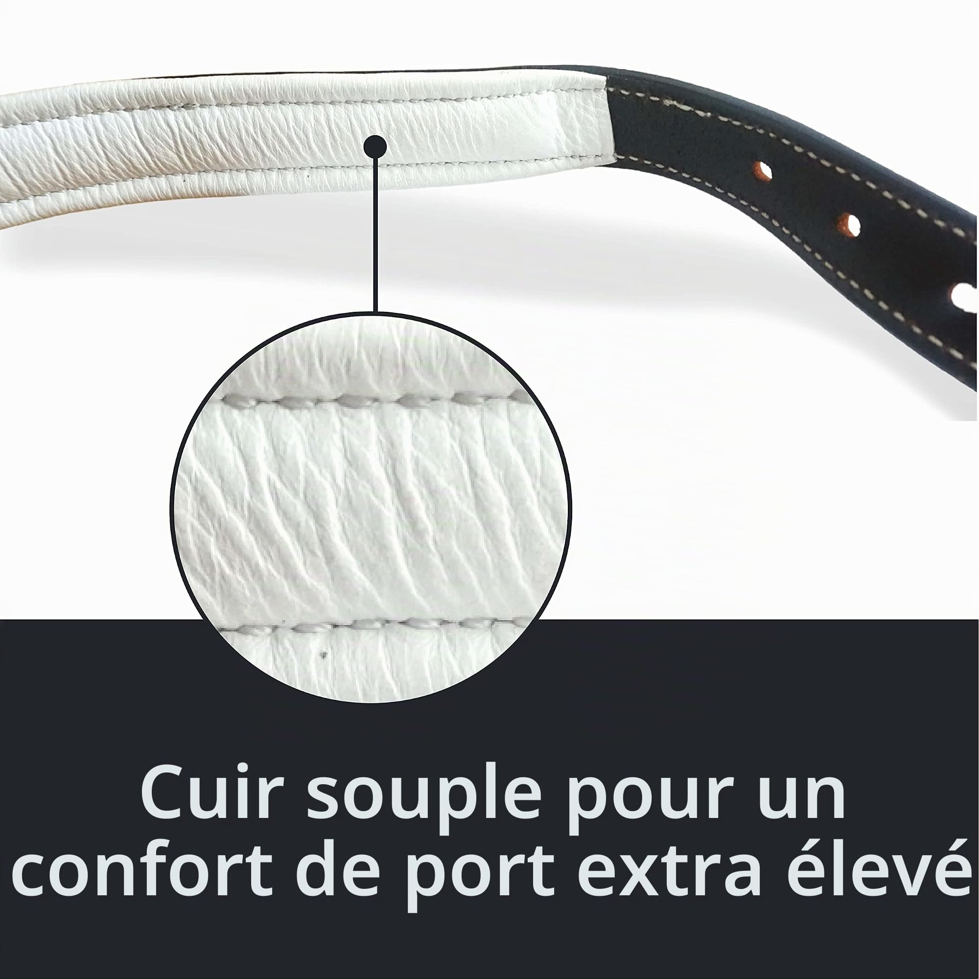 Licol en cuir noir pour chevaux, licol d'écurie de qualité supérieure en pony, sang chaud, cob, sang froid, sûr et indéchirable (pony, noir et blanc)
