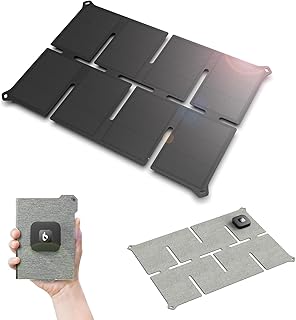 BigBlue ソーラーパネル ソーラー充電器 手のひらサイズ 超軽量 急速充電 電流計 2USBポート 25W 約375g 25.3%変換効率 防塵防水IP68 カラビナ付き 折り畳み式 ポータブル コンパクト 防災 アウトドア 太陽光パネル F25 ブラック/グレー