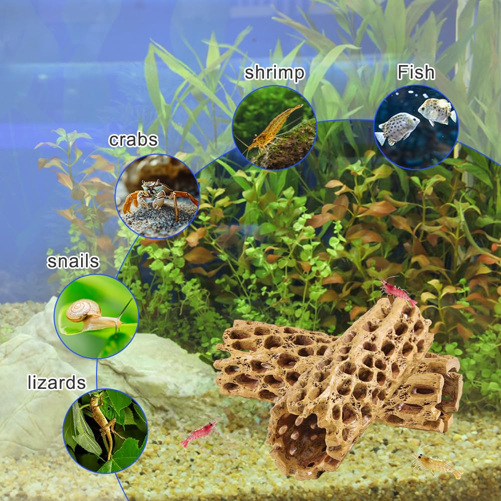 2 pezzi nascondiglio per gamberetti – tronco d'albero cavo, grotta dell'acquario, simulazione del tronco d'albero, in resina, per acquario, tronco, accessori per acquario, per pesci, gamberetti