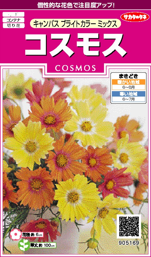 コスモス Amazon | サカタのタネ 実咲花5169 コスモス キャンパス