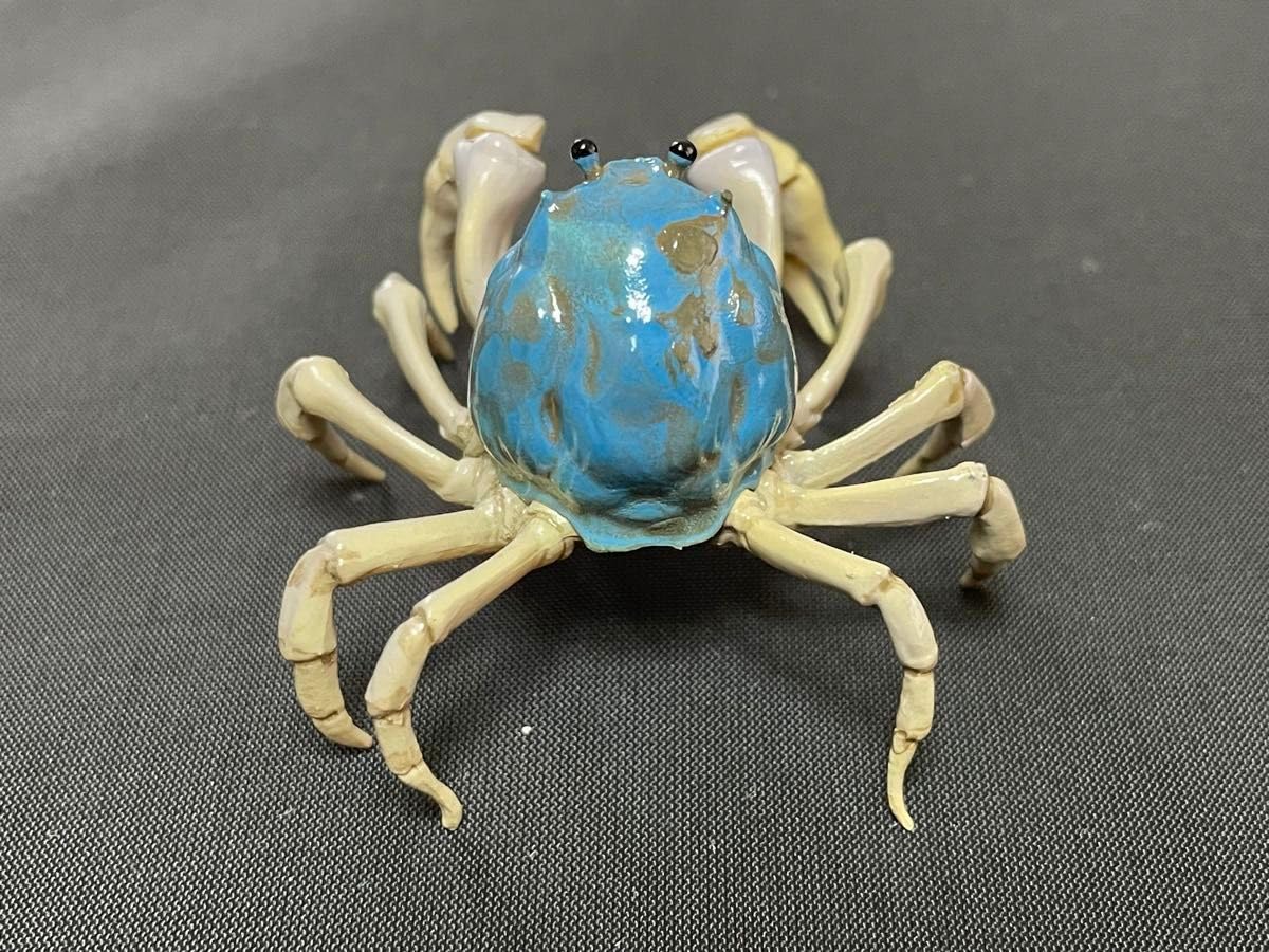 Amazon.co.jp: 日本カニ大全 カプセルQ KAIYODO 海洋堂 No.5 ミナミ