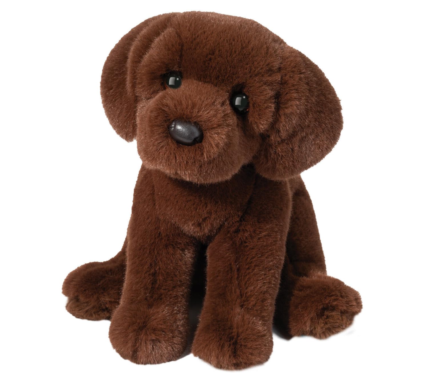 Douglas Zoom Chocolate Lab