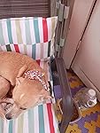 Review Image by 3615100127 3615100127