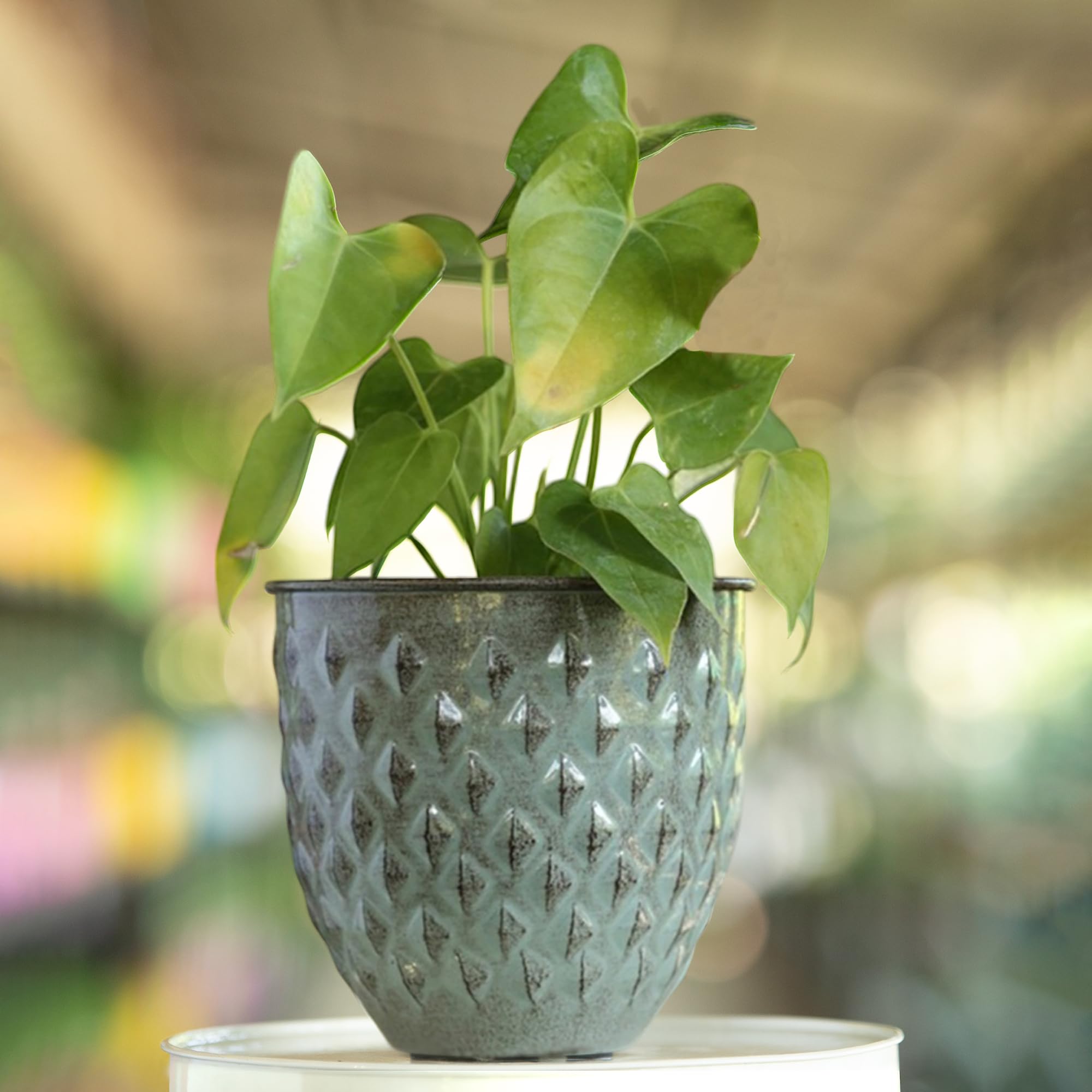The Happy Garden Indoor Plant Pot Galvanised Metal Planter – 15cm Dia, Medium Size, Blue Decorative Plant Pot for Indoor & Outdoor Plants, Flowers & Succulents