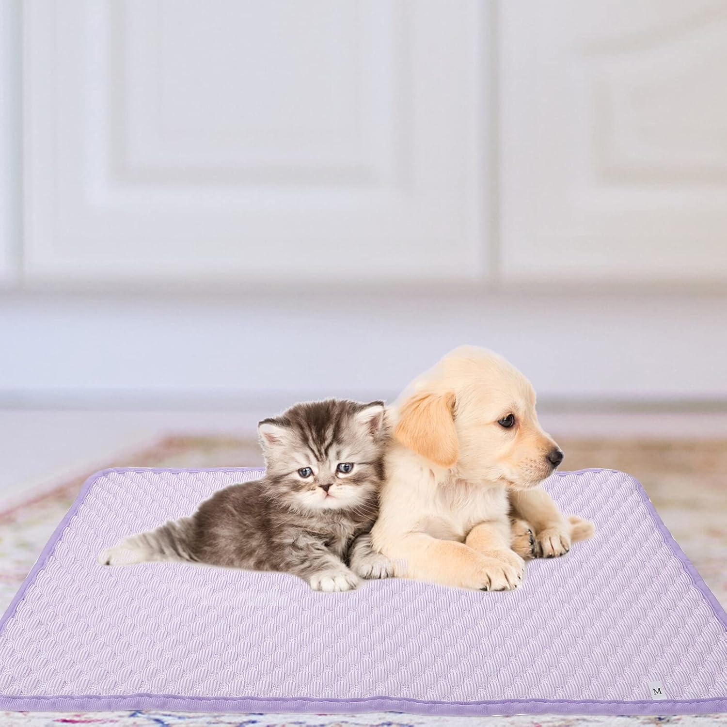 review KESYOO Pet Cooling Mat for Dogs Cats Keep Cool in Summer Puppy Self Dog Cooling Mats for Kennel Crates and Beds Washable Dog Cooling Pad Blanket Ice Silk Sleeping Pad Blanket Purple