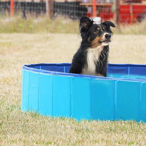 Foldable Dog Pool, Jsdoin Portable Dog Paddling Pool, Pet Kids Bath Pool Swimming Pool, Non-Slip PVC Kiddie Pool for Kids, Dog Cat Bathing Tub For Garden Patio Bathroom(80 * 20cm) - 2