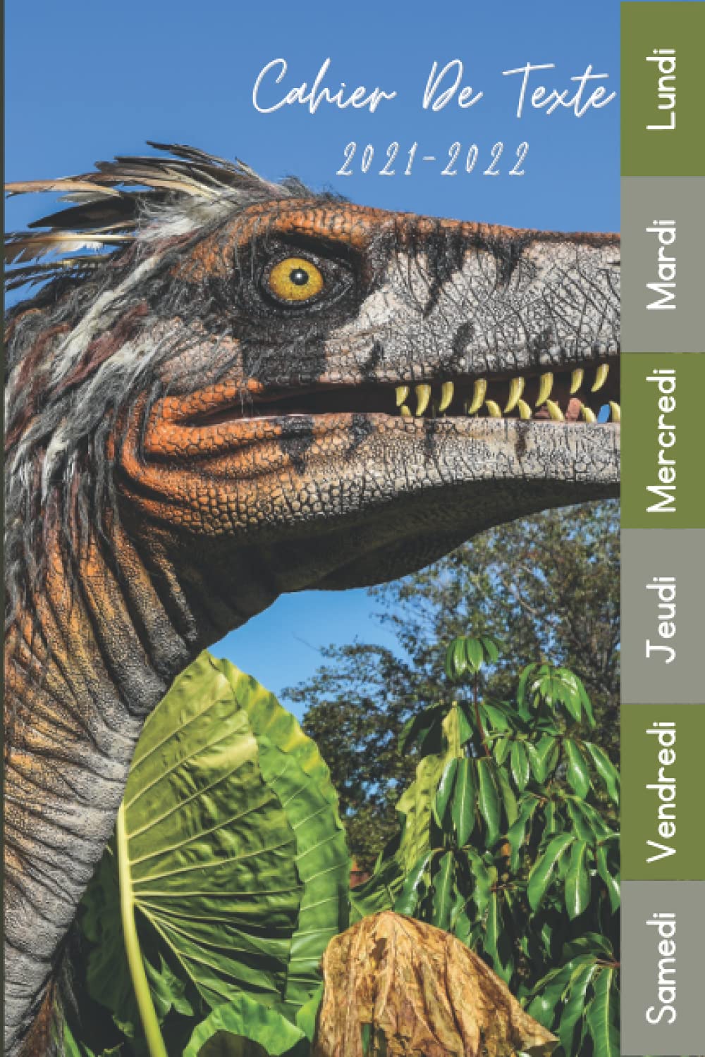Cahier De Texte 2021 2022: Dinosaure Pour Garçon Et Fille En Primaire, Collège Lycée CP, CE1, CE2, CM1, CM2 Pour Toutes Les Matières (Leçons Et Devoirs) (French Edition)