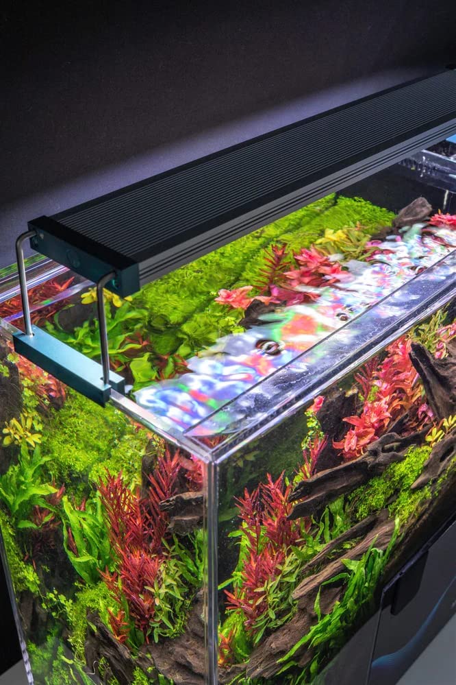 Twinstar Aquarium WRGB LED Light | C-Line | Model: 300C (Version III) | Indian Fish Monsters (IFM)