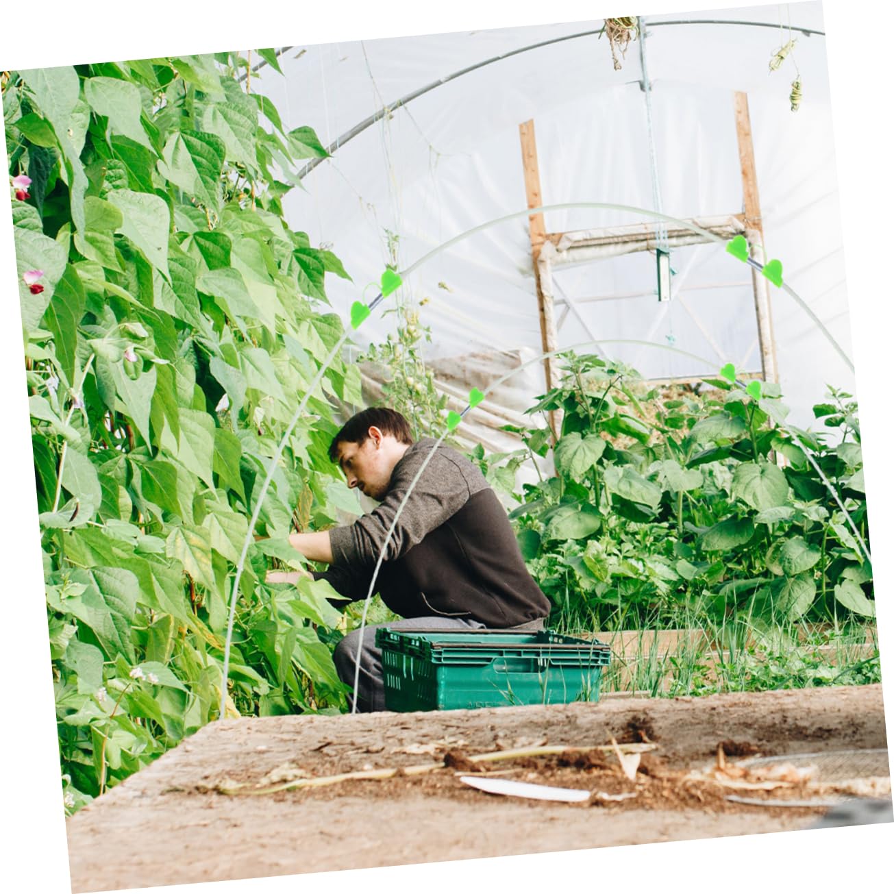 Tunnel pour Salade Arceaux de Jardin en Polyéthylène et Fibre de Verre, Réutilisable et Lavable, 1 Set pour Serrage Potager et Soutien la Croissance