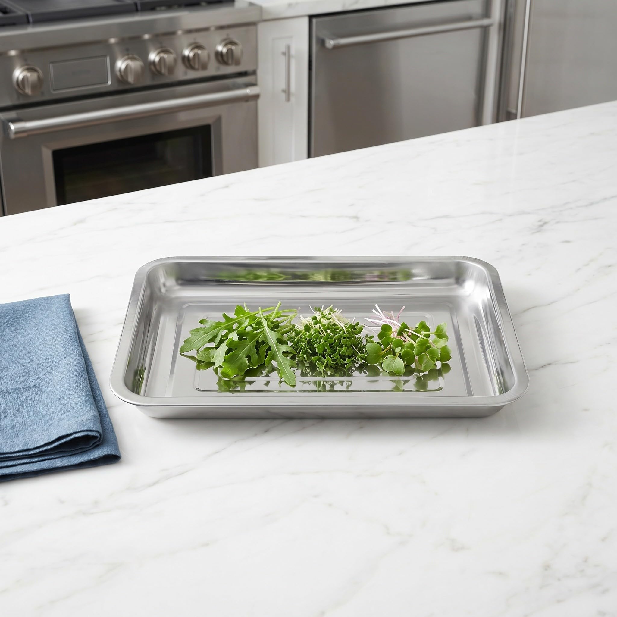 BESPORTBLE Bandeja para Germinación de Semillas Borde Alto y Diseño Apilable 8 Piezas de Acero Inoxidable y Protección Efectiva del Sistema Adecuado para Cultivo Interior en Alféizares
