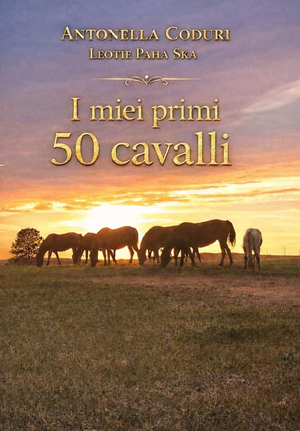 I miei primi 50 cavalli
