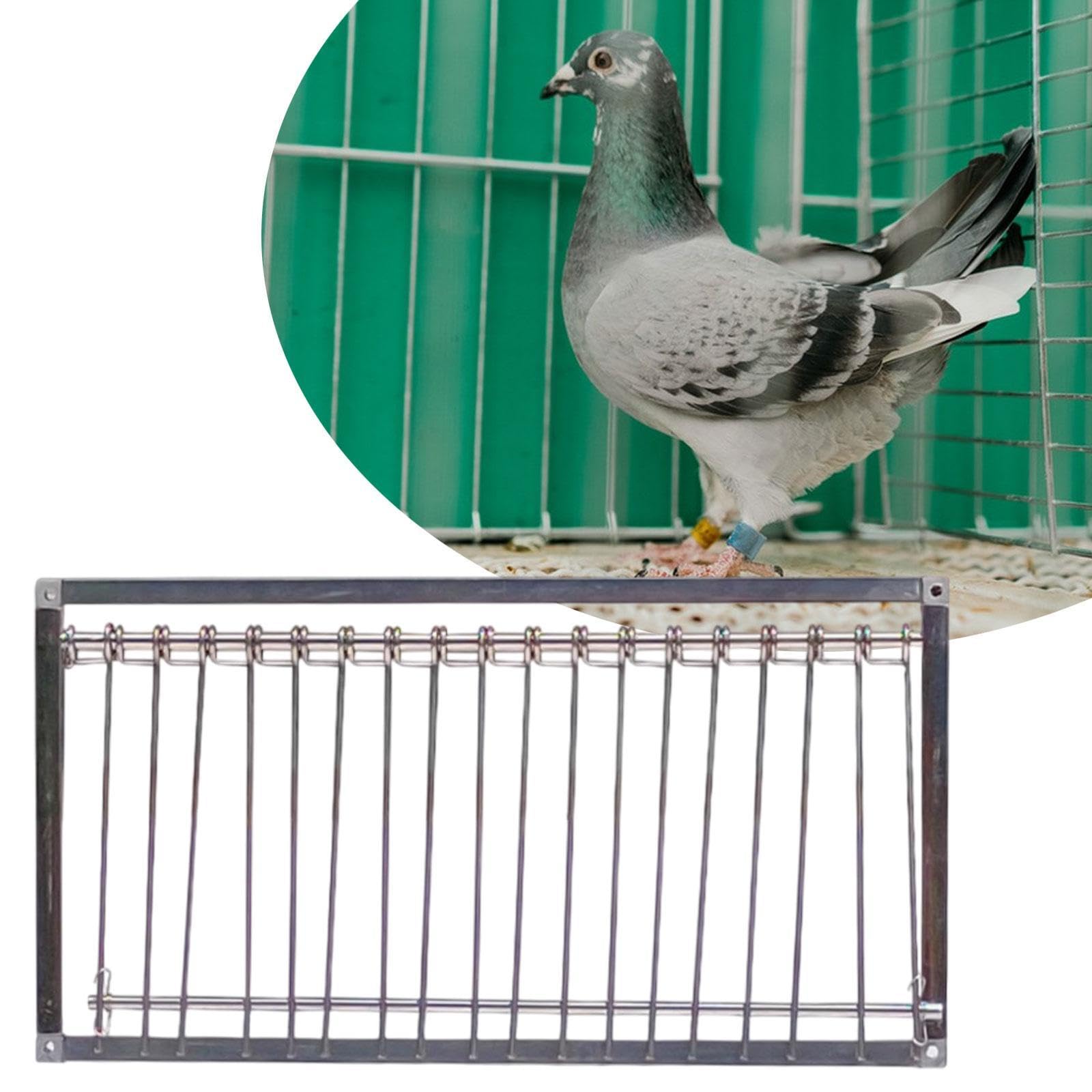 Fashion My Day Pigeon Entrance Door Removable Pigeon Traps Door for Birds Chicken Lawn Porch 29cm-image-18