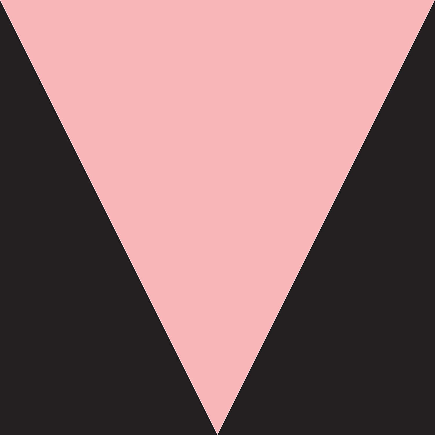 Ventriloquism Meshell Ndegeocello Amazon.ca Music