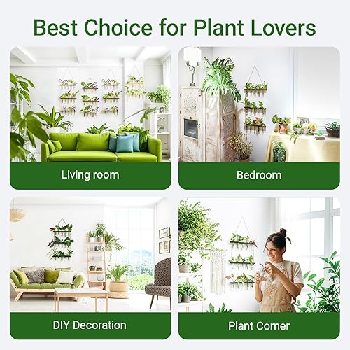 Miniatura 51 de Ivolador - Terrario de cristal colgante, maceta para plantas hidropónicas, decoración para el hogar