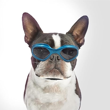 dog sunglasses amazon