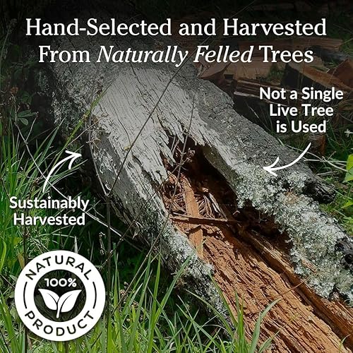 Miniatura 8 de Plow & Hearth Palitos Iniciadores de Fuego de Madera Grasa de 2 Libras, Yesca Orgánica, Madera Grasa de Fácil Encendido, Iniciadores de Fuego