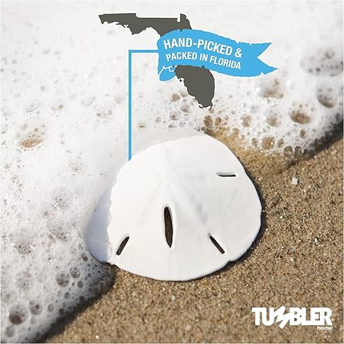 Miniatura 6 de Tumbler Home Estrellas de mar y dólares de arena (12 piezas)  Estrella de mar de 6 dedos (4 a 6 pulgadas) y 6 dólares de arena (3 a 3.5 pulgadas)