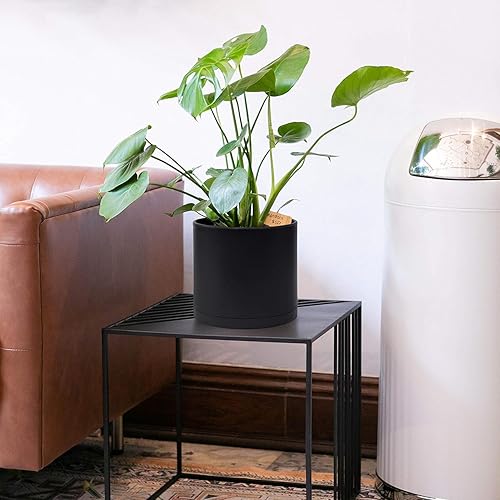 Miniatura 13 de D'vine Dev Paquete de 4 macetas de plástico modernas de 4 pulgadas, pequeñas macetas de jardín para plantas con agujeros de drenaje y platillos