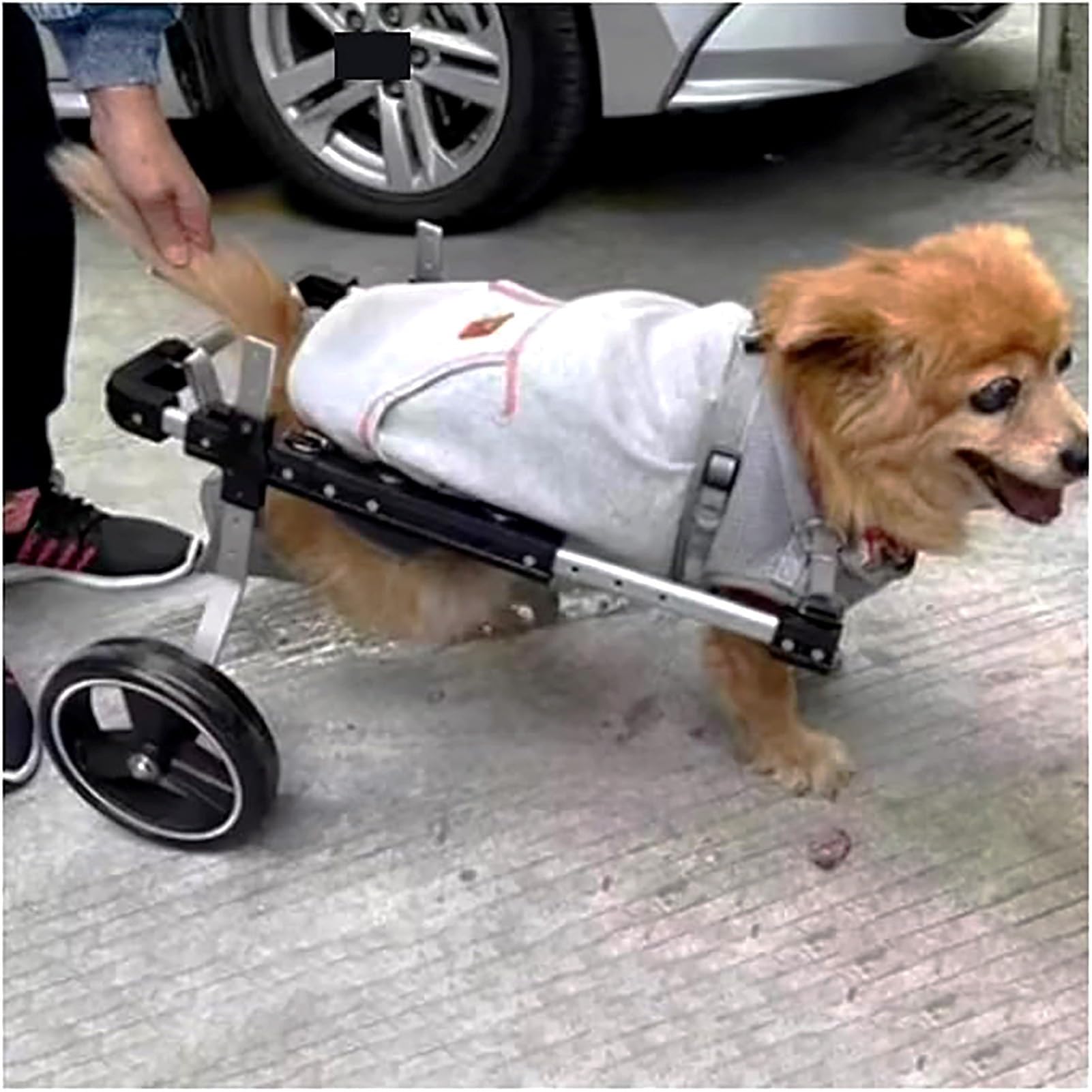 Silla de ruedas ajustable para perros discapacitados, soporte trasero para patas para parálisis, artritis, displasia de cadera, ayuda de movilidad para perros lesionados o discapacitados