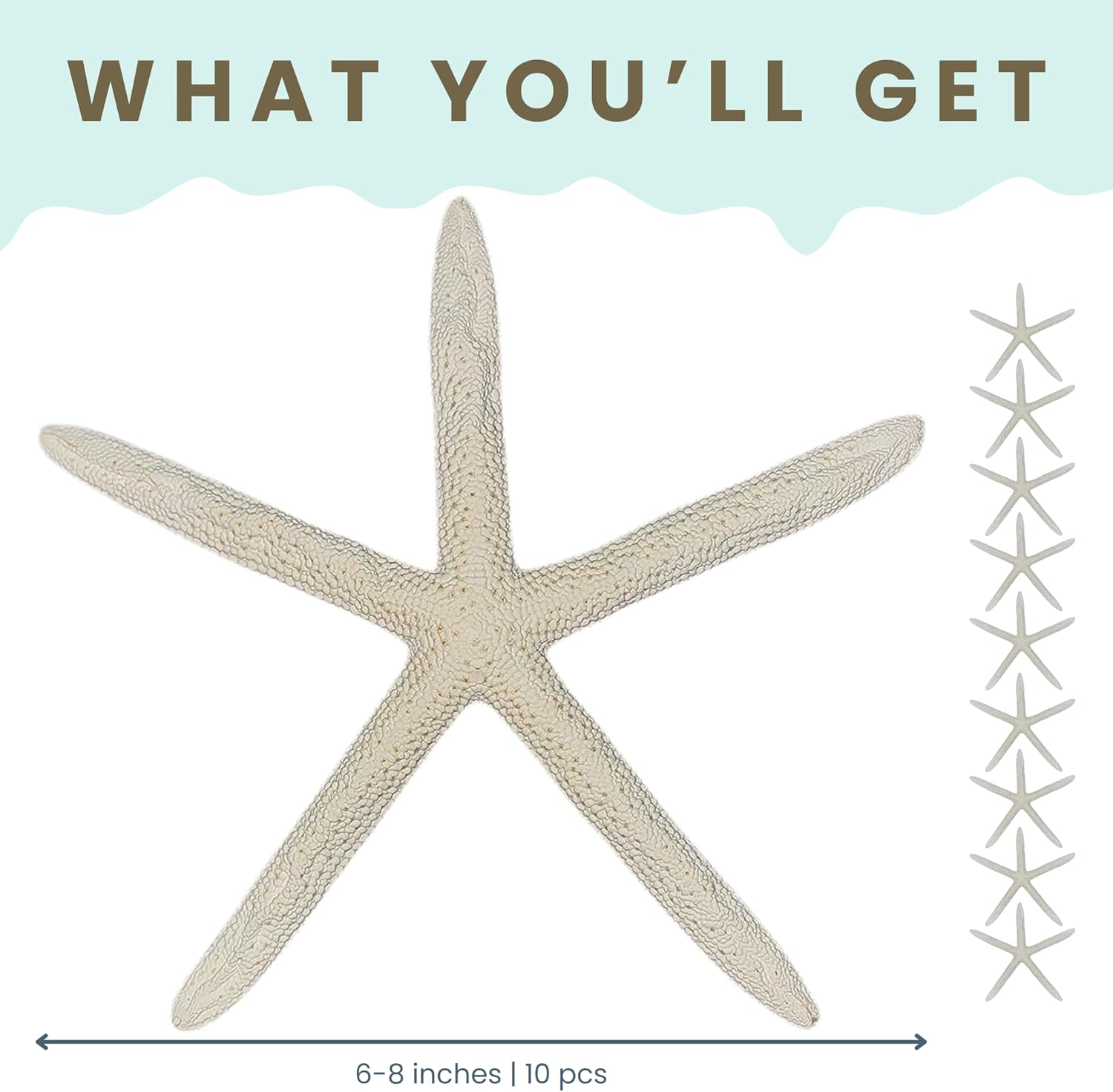 Nautical Crush Trading Starfish Decor - Star Fish for Craft - 10pk Real 6-8" White Sea Stars - Beach Wedding Decor - Coastal Party Decorations - Seashell Décor