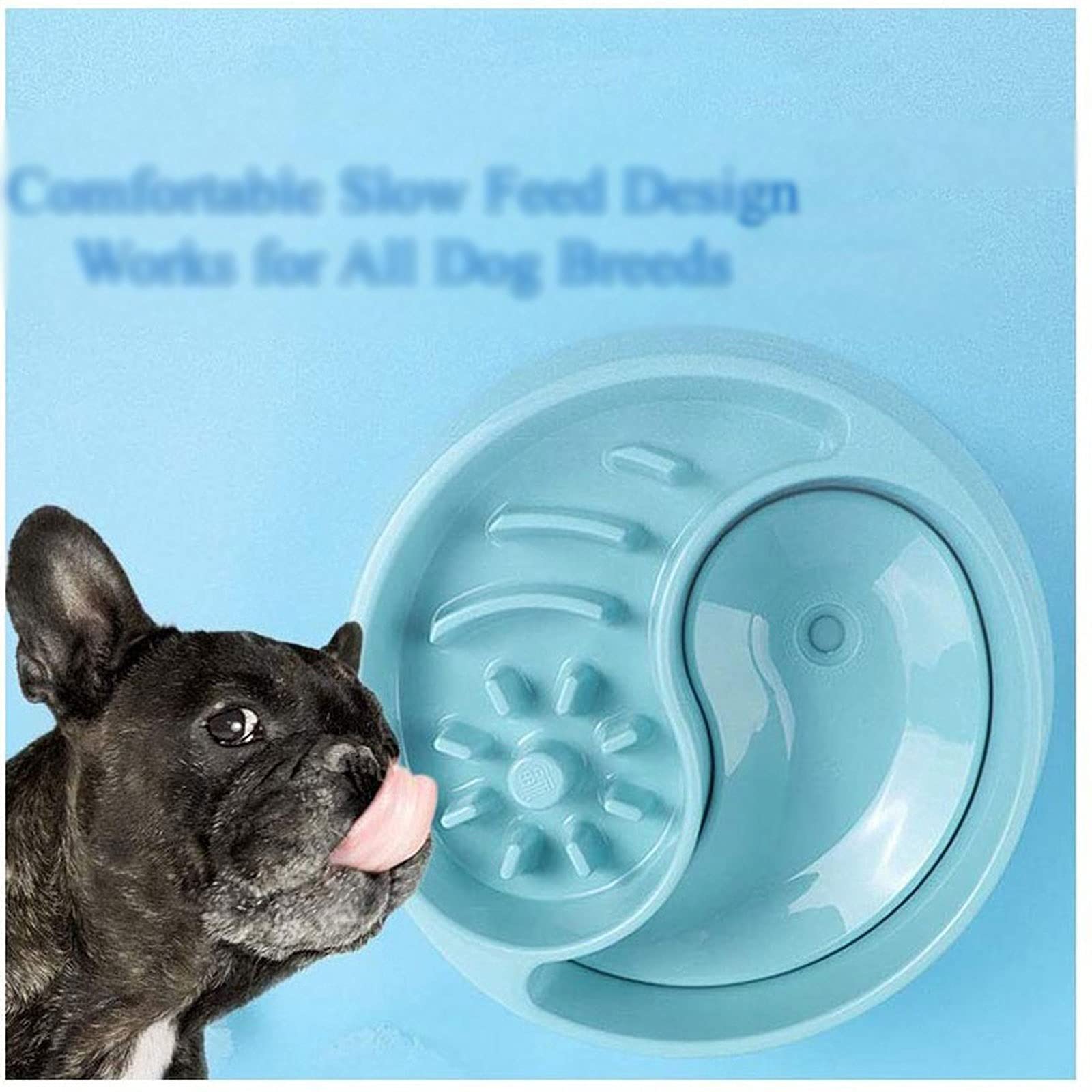 RTHGTFGW Comedero Perro Tazón de Perro de alimentación Lento de Gran Capacidad 2 in1 alimento Agua Mascota tazón for Beber prevención de la Boca mojada vómitos (Color : Blue)