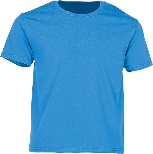 Fruit of the Loom Camiseta para niños Iconic, azul azur, 164