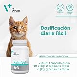 Ver la foto 6