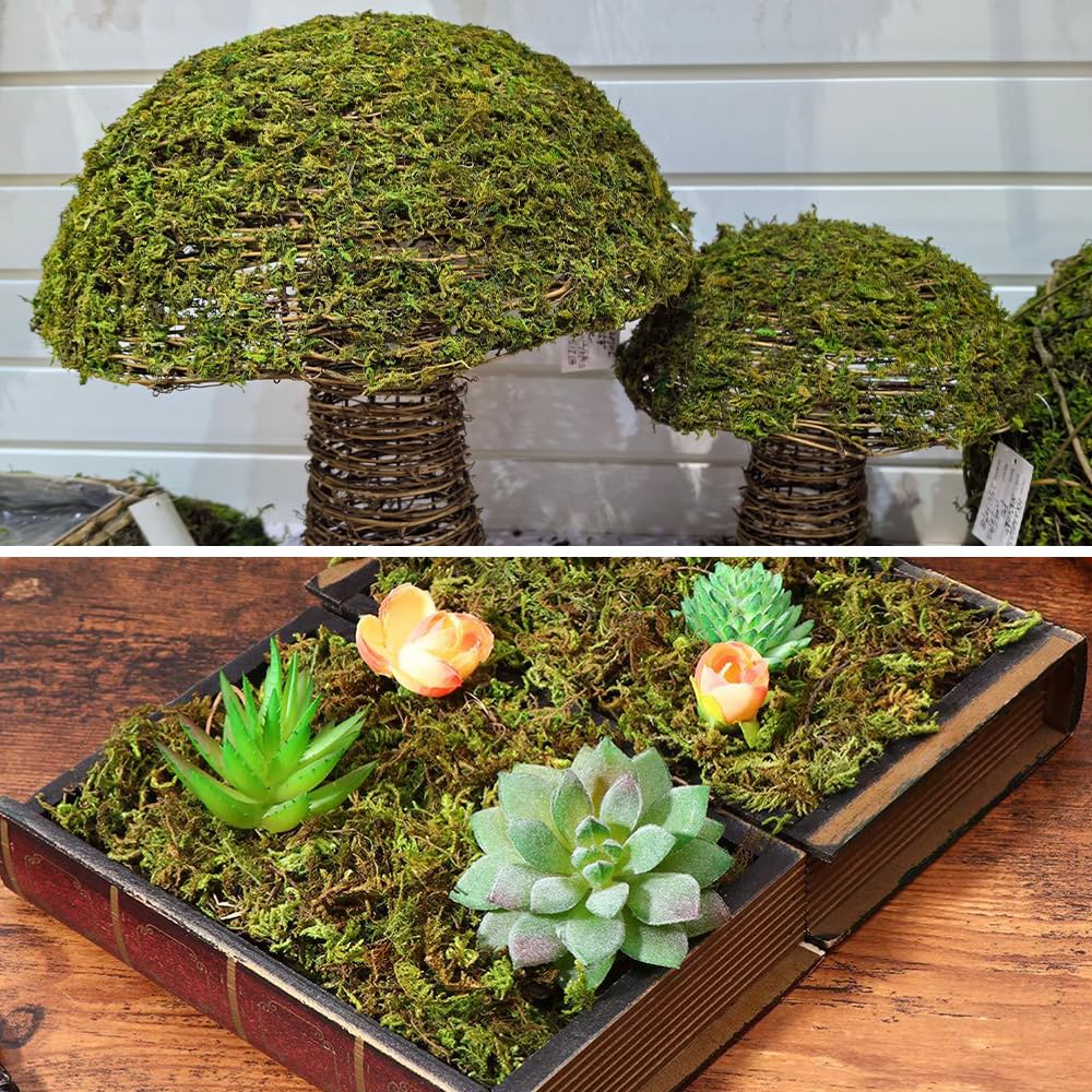 500 g Musgo Sphagnum, XPJBKC Musgo para Orquideas, Musgo Natural para Plantas, Sustrato Orquideas Sustrato Bonsai para Orquídeas, Plantas, Decoración de Musgo, Enraizamiento de Esquejes