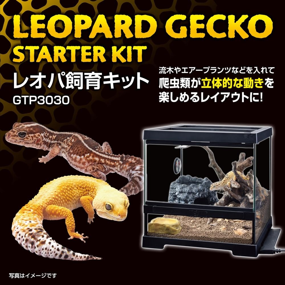 ホ*ナ様 レオパ飼育キット GT3030　【爬虫類初心者にもオススメ】 Amazon | 【ジェックス】レオパ飼育キット GTP3030 | ペットグッズ