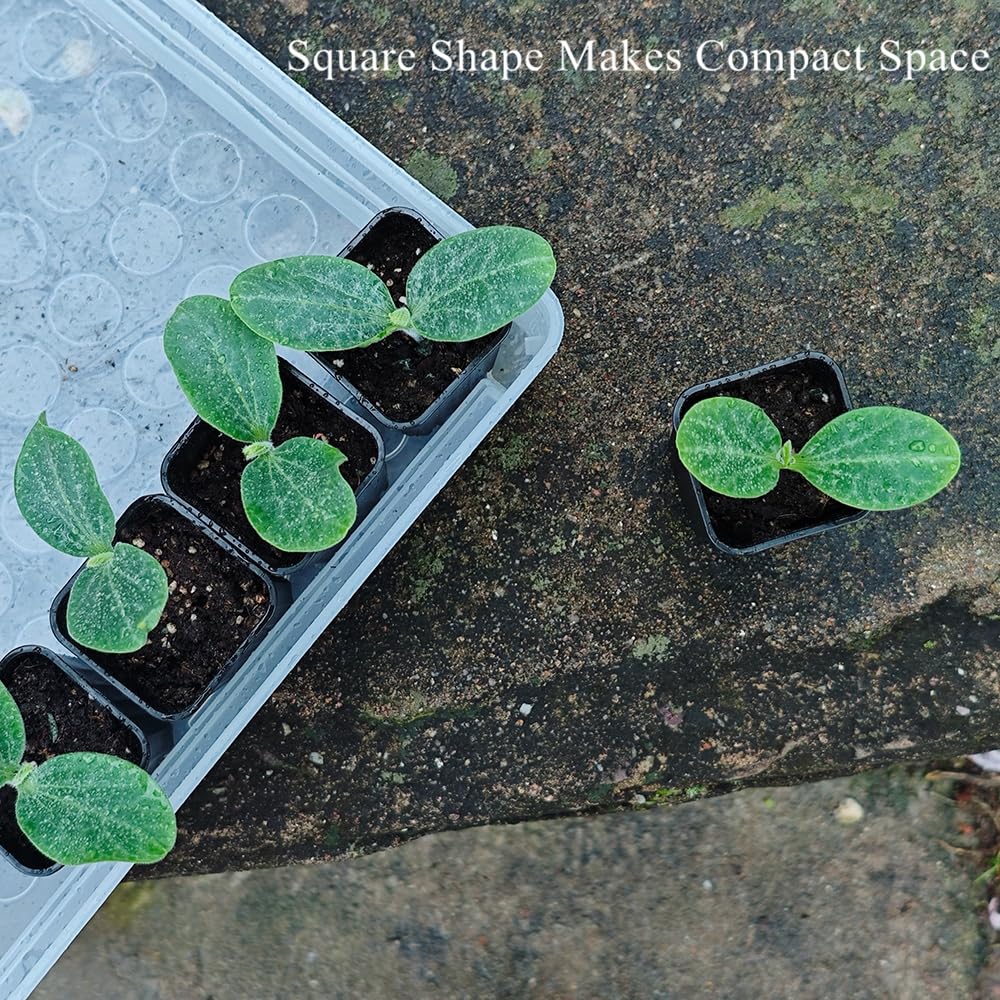 Lot de 180 petits pots de semis carrés en plastique noir de 5,9 cm avec trou de drainage pour germination, herbes et plantes grasses