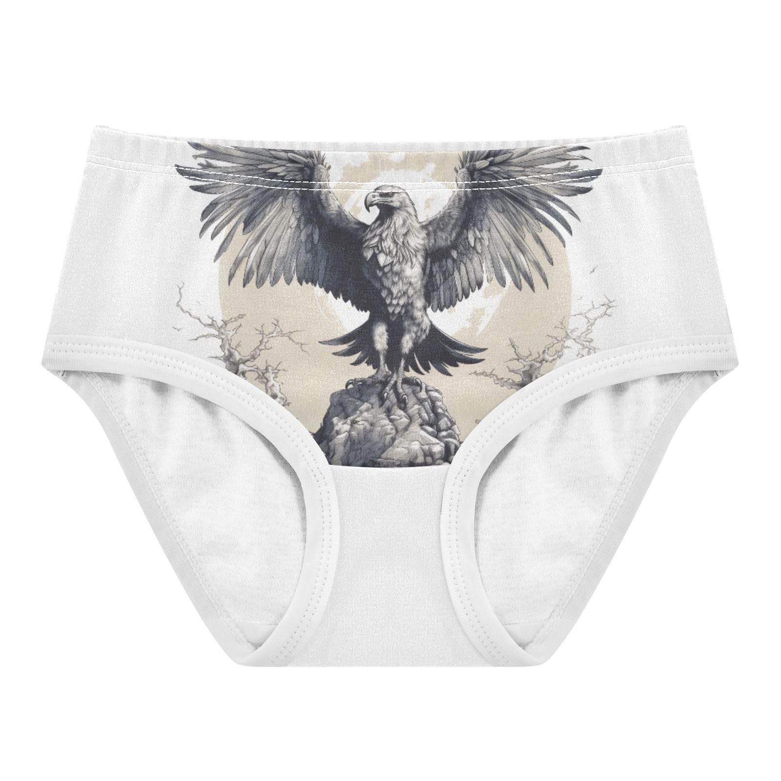ALAZA Toddler Girls Cotton Hipster Underwear Soft Glede 4 2 Pack 2T