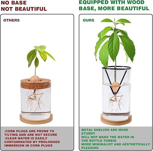 Miniatura 3 de Bylion Kit de cultivo de árboles de aguacate, jarrón de cultivo de aguacate, base de madera, jarrón de iniciación de semillas de aguacate, maceta de