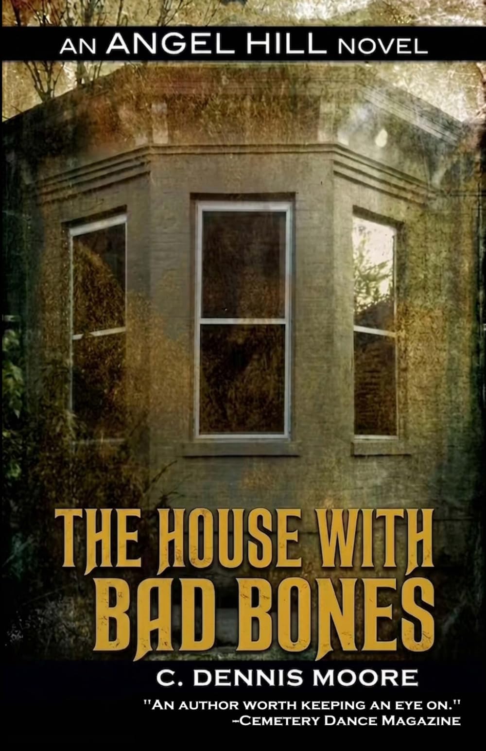The House with Bad Bones: an Angel Hill novel
