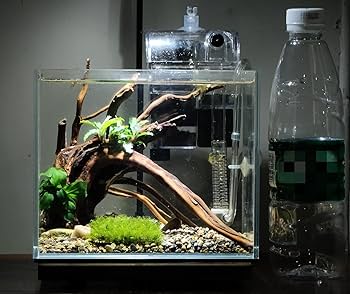 FISH TANK  31冊 Amazon.com: YXIANG56Q Fish Tank Wooden Frame Turtle Aquarium